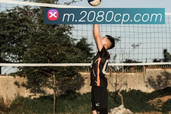 中彩网服务体系